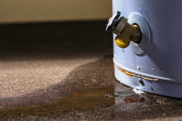 Fire Damage Restoration in Keokea, HI