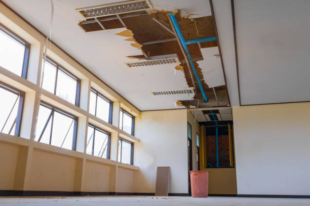 Best Ceiling water damage repair  in Keokea, HI