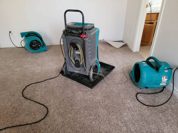 Water damage restoration experts in Keokea, HI