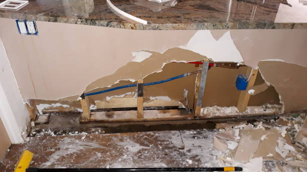 Best Residential water damage restoration  in Keokea, HI