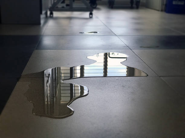 Best 24/7 water damage repair  in Keokea, HI
