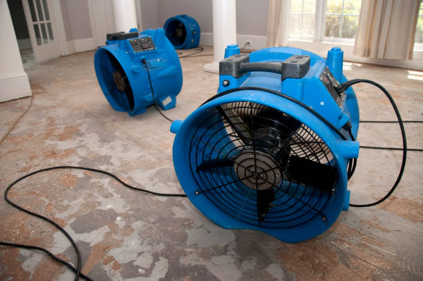 Best Emergency water damage restoration  in Keokea, HI