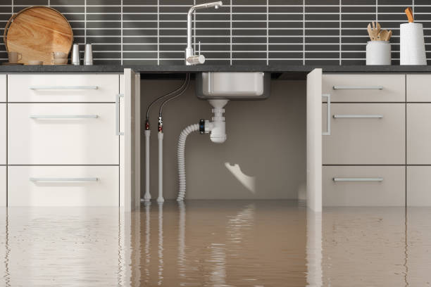 Reliable Keokea, HI Water damage restoration Solutions